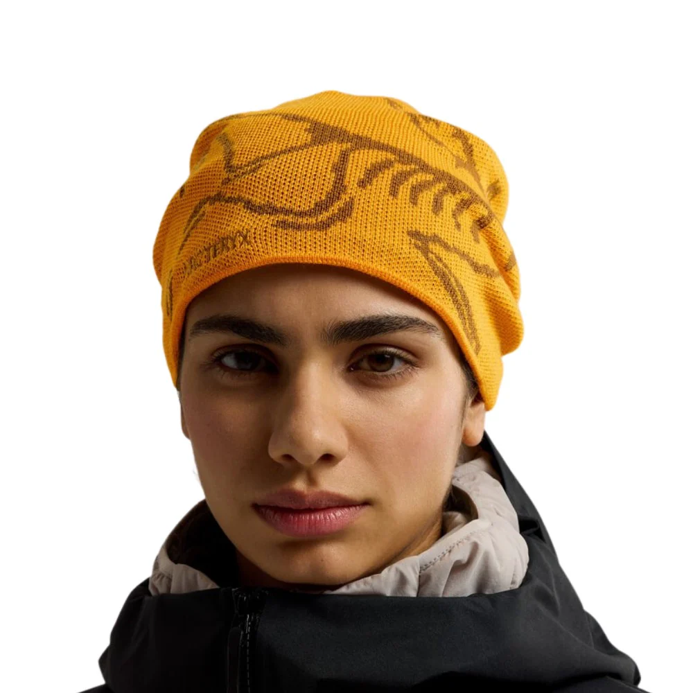 Arc’teryx beanie