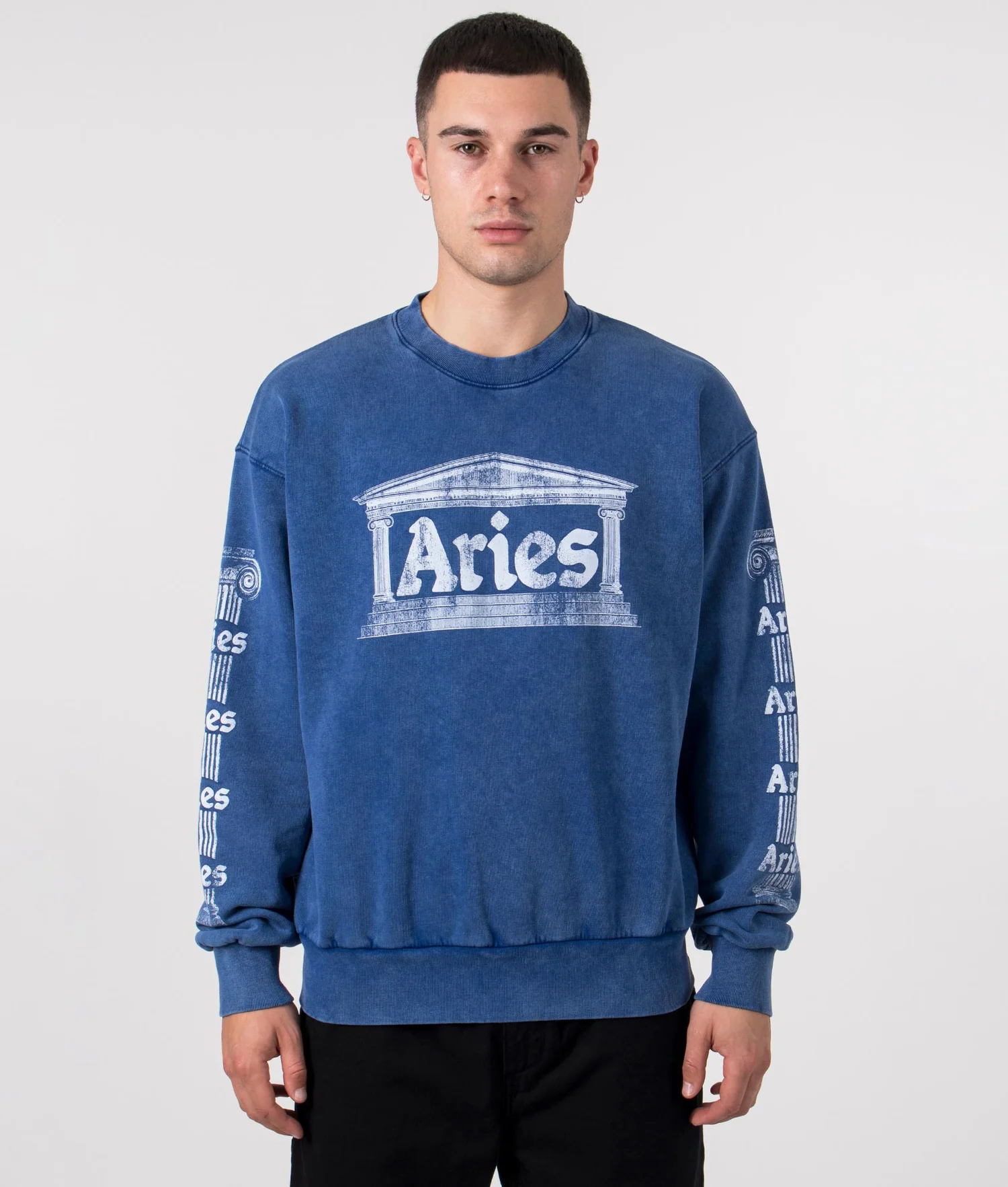 Aries Arise
