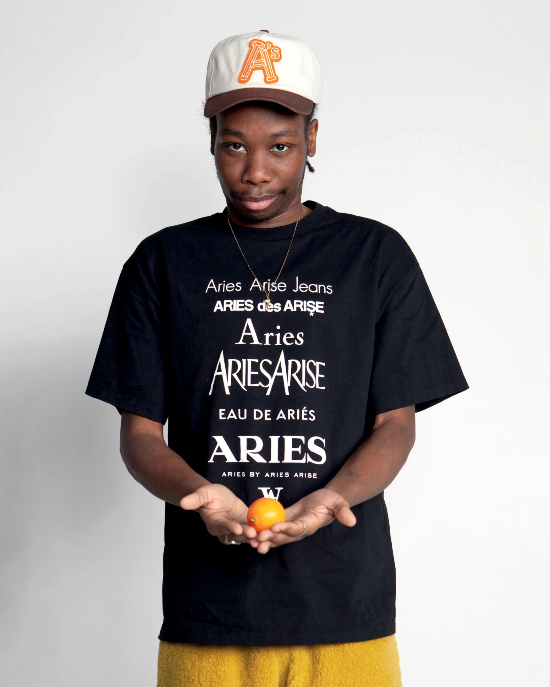 Aries Arise