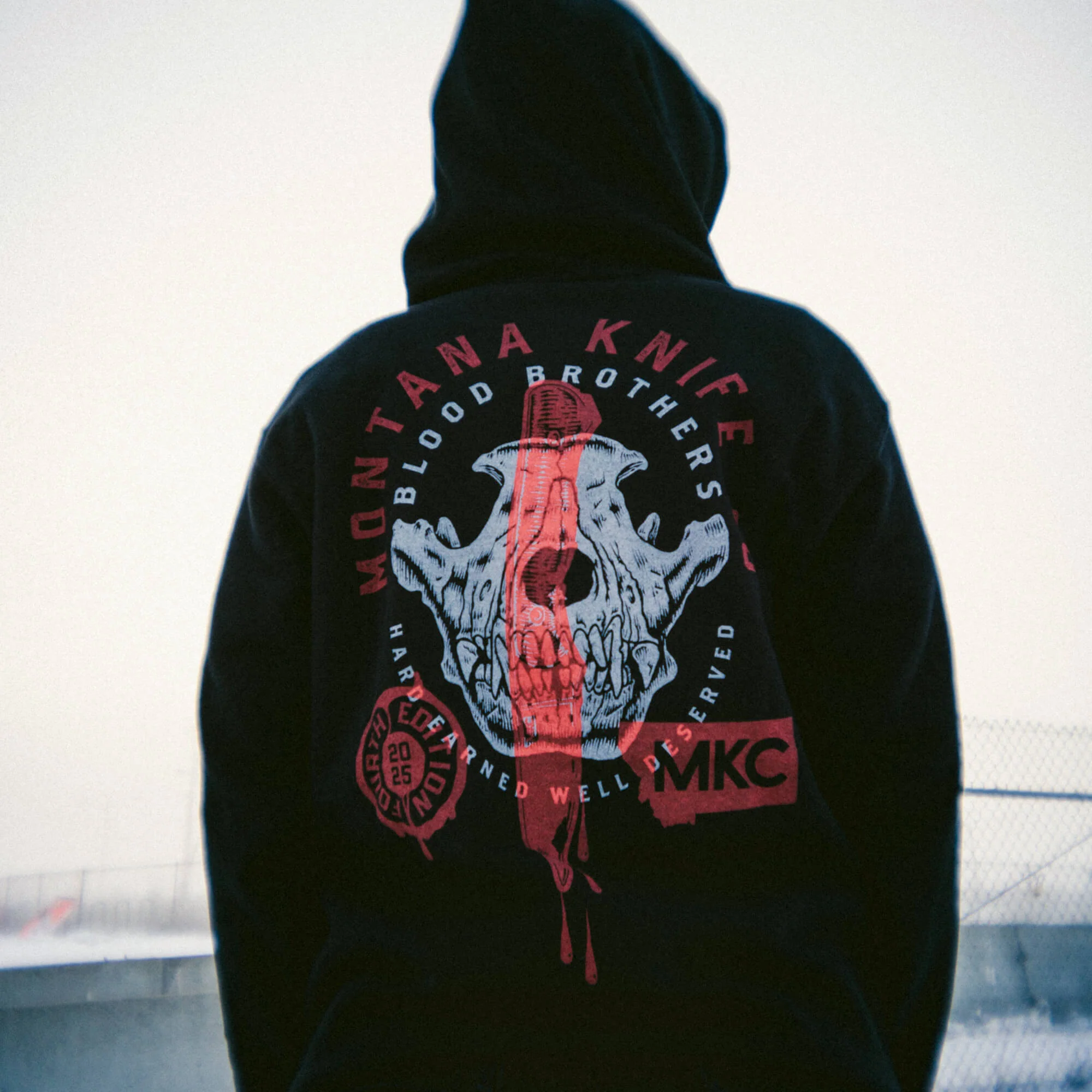 BloodSTAR 